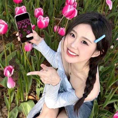 魅力航班